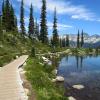 Harmony Lake Trail