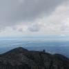 Mt. Seymour Trail