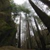 Stawamus Chief Provincial Park.