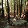 Stawamus Chief Trail