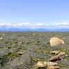 Boundary Bay Regional Park