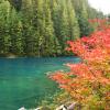 Lindeman Lake