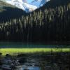 Joffre Lakes