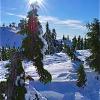 Mt Seymour