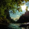 Gold Creek Falls Trail