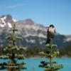 Joffre Lakes