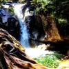 Upper Shannon Falls.