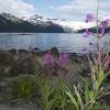 Garibaldi Lake