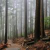 Grouse Grind Trail