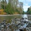 Skagit River Trail