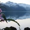 Garibaldi Lake