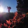 Howe Sound Crest Trail