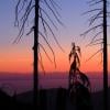 Howe Sound Crest Trail