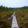 West Coast Trail