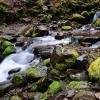 Bridal Veil Falls trail