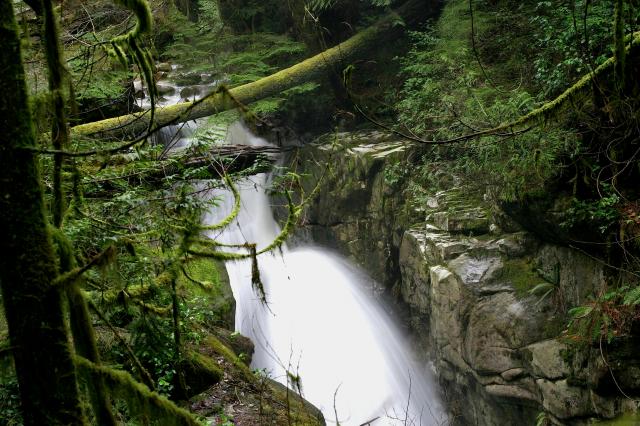 Cypress Falls