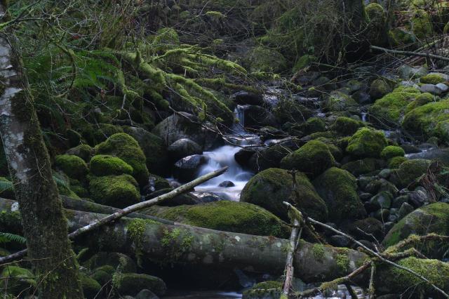 Capilano River Regional Park