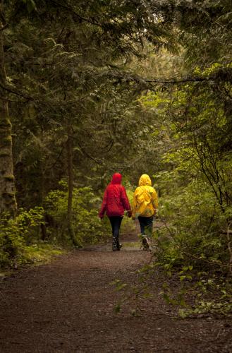 Upper Shinglebolt Trail