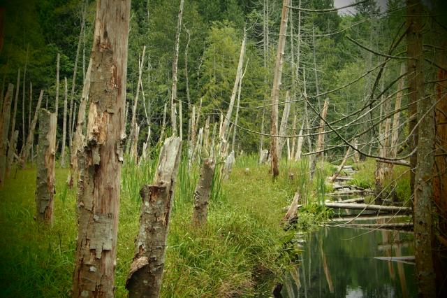 Killarney Lake