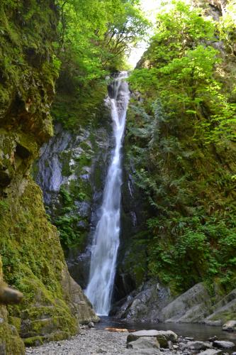 Goldstream Falls