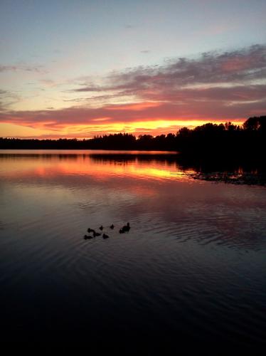 Deer Lake Beach