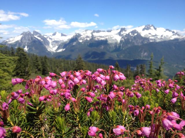 Elfin Lakes