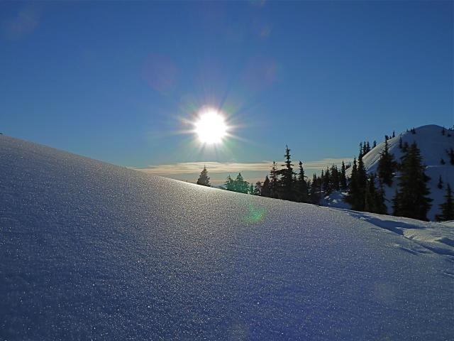 Peak Trail