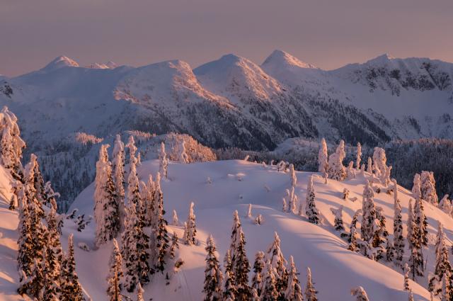 Mount Seymour Upper Mountain Trail