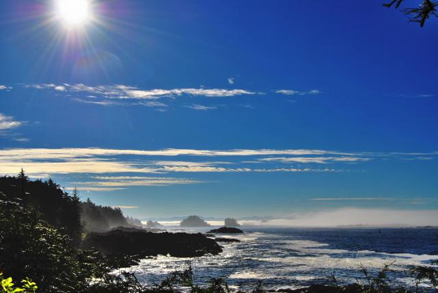 Lighthouse  Loop, Wild Pacific Trail