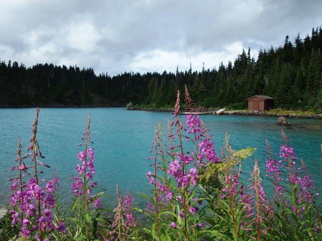 Garibaldi Lake Trail