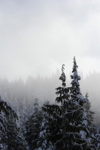 Elfin Lakes