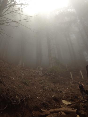 Grouse Grind