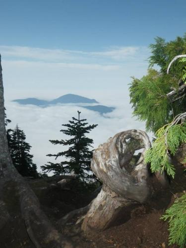 Howe Sound Crest Trail