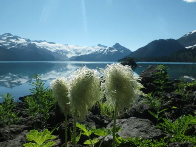 Garibaldi Lake