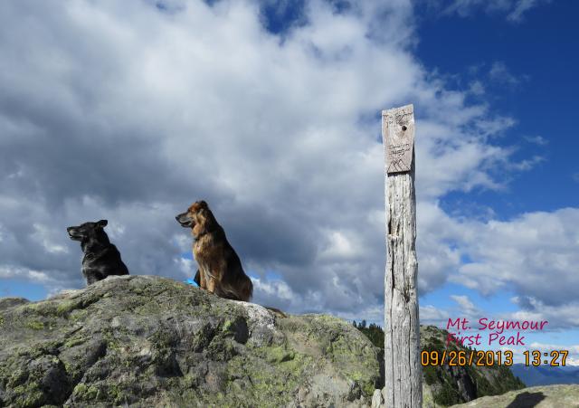 Mt. Seymour