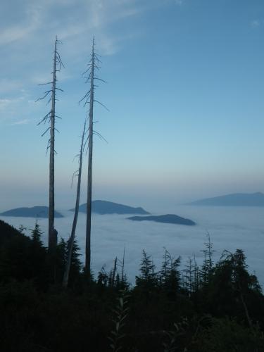 Bowen Lookout