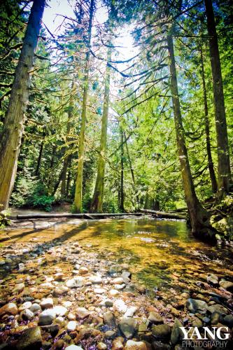 Roberts Creek Trails