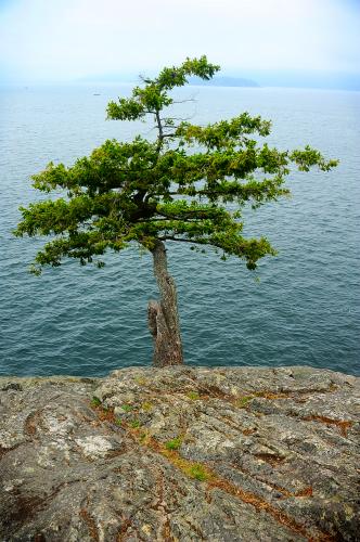 Lighthouse Park