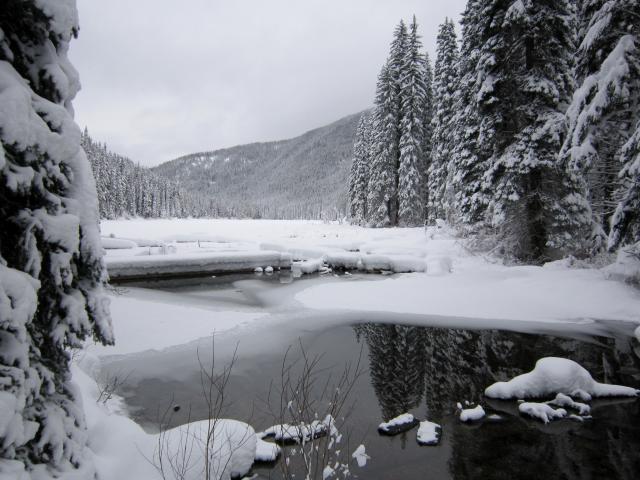 Lightning Lake Chain