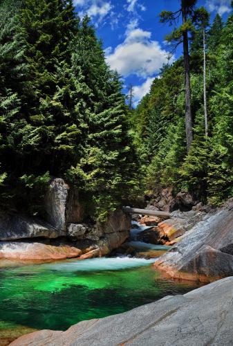 Lower Falls Trail