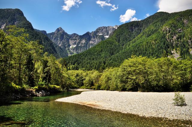 Lower Falls Trail