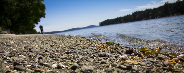 False Narrows Shoreline Walk