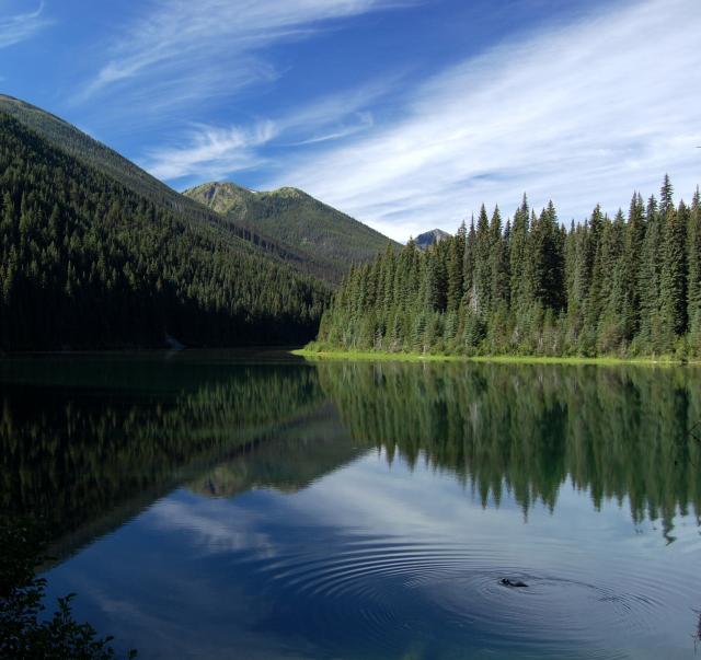 Lightning Lake Loop