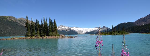 Garibaldi Lake Trail