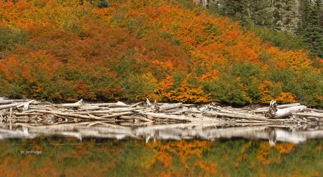 Greendrop Lake Trail