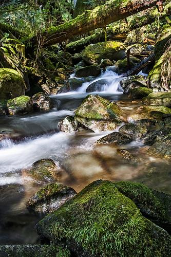 Whyte Lake Trail