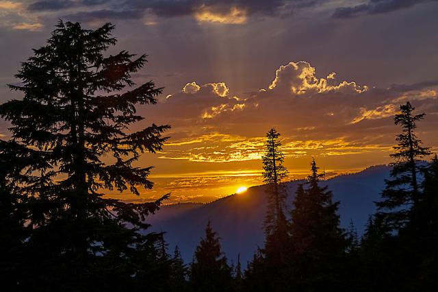 Mount Seymour Main Trail (First Peck Trail)