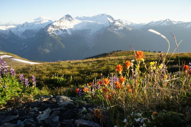 Singing Pass (Russet Lake) (Whistler)