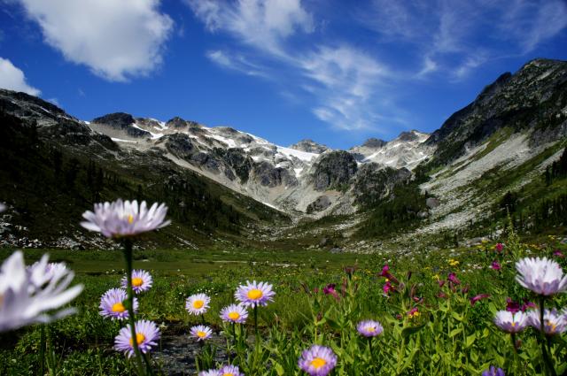 Brandywine Mountain (Whistler)