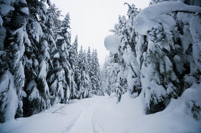 Elfin Lakes